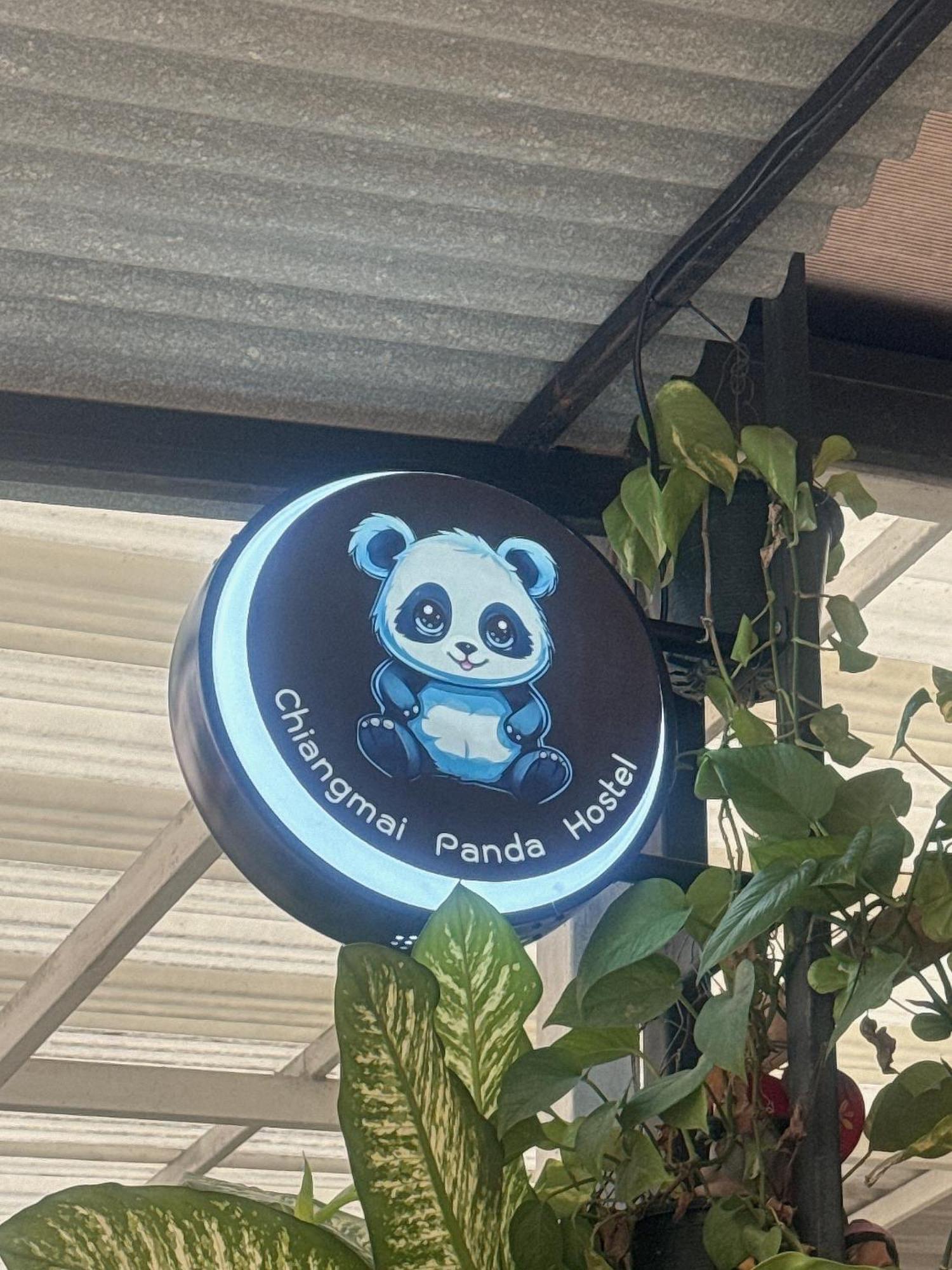 Chiang Mai Panda Hostel Luaran gambar